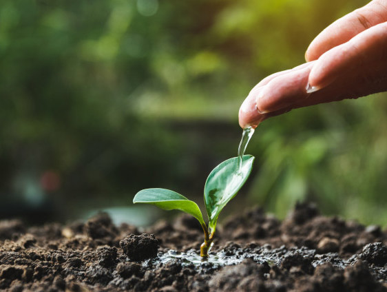 AdobeStock 301198230 848x424 1