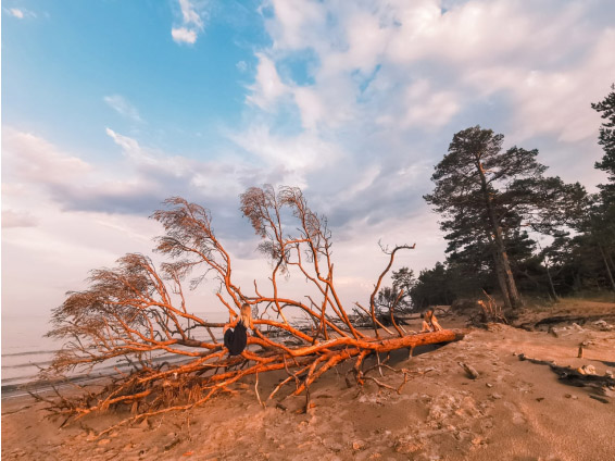 IMG 20210622 212701 99524127813979 min 848x424 1