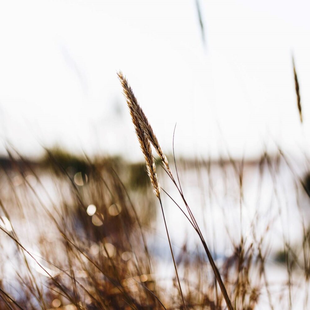 28795770_10156095362346635_7032005599889981440_n