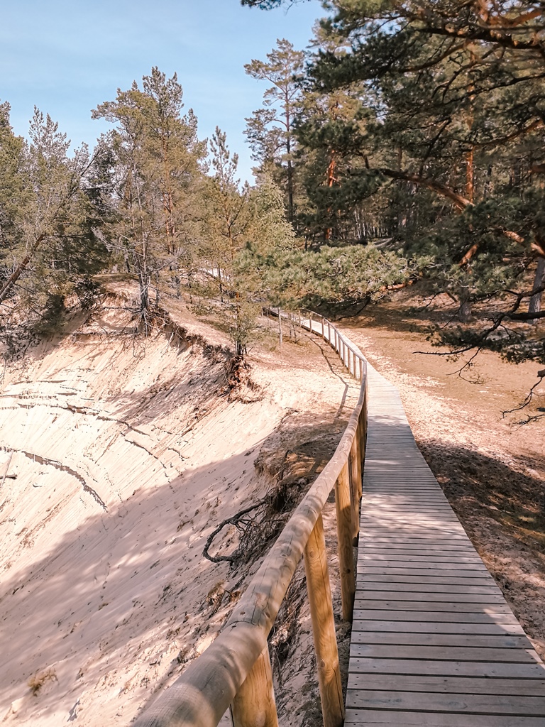 IMG 20190519 135844 99522995267625 99524140914500