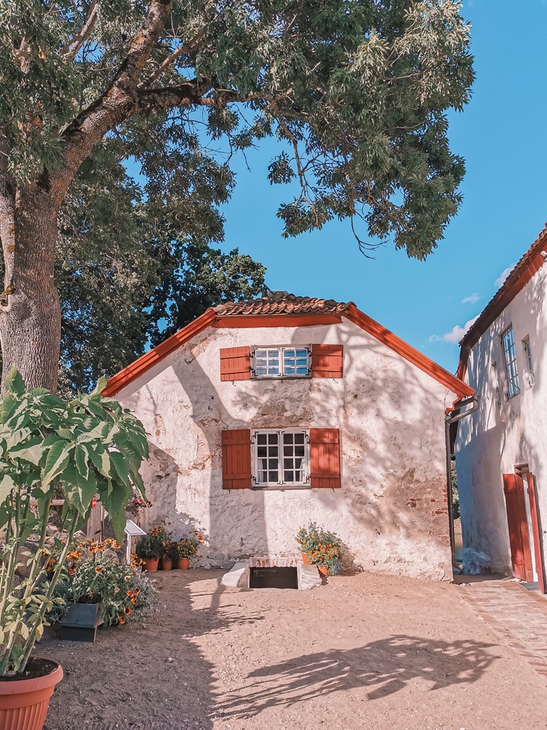 IMG 20200824 171555 1