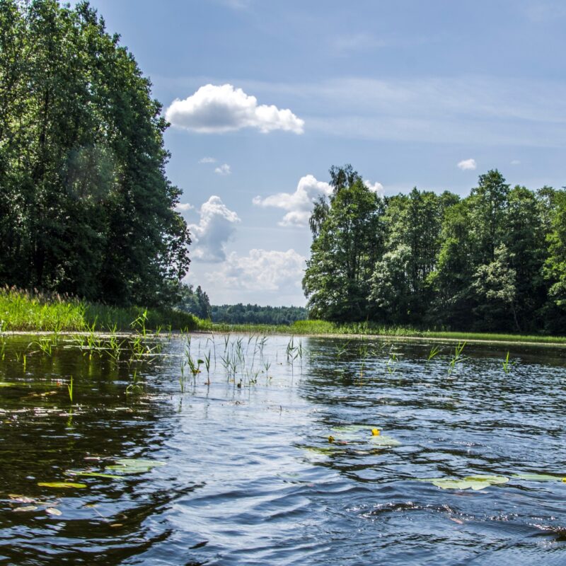 Carmana_ezers-_sasaurinajums-scaled-800x800