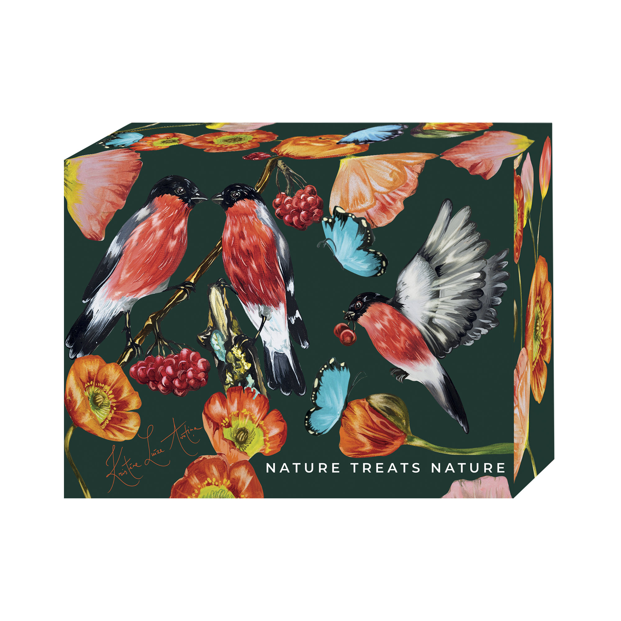 Dāvanu kastīte Dizaina Tumši Zaļa L (204x149x69mm)