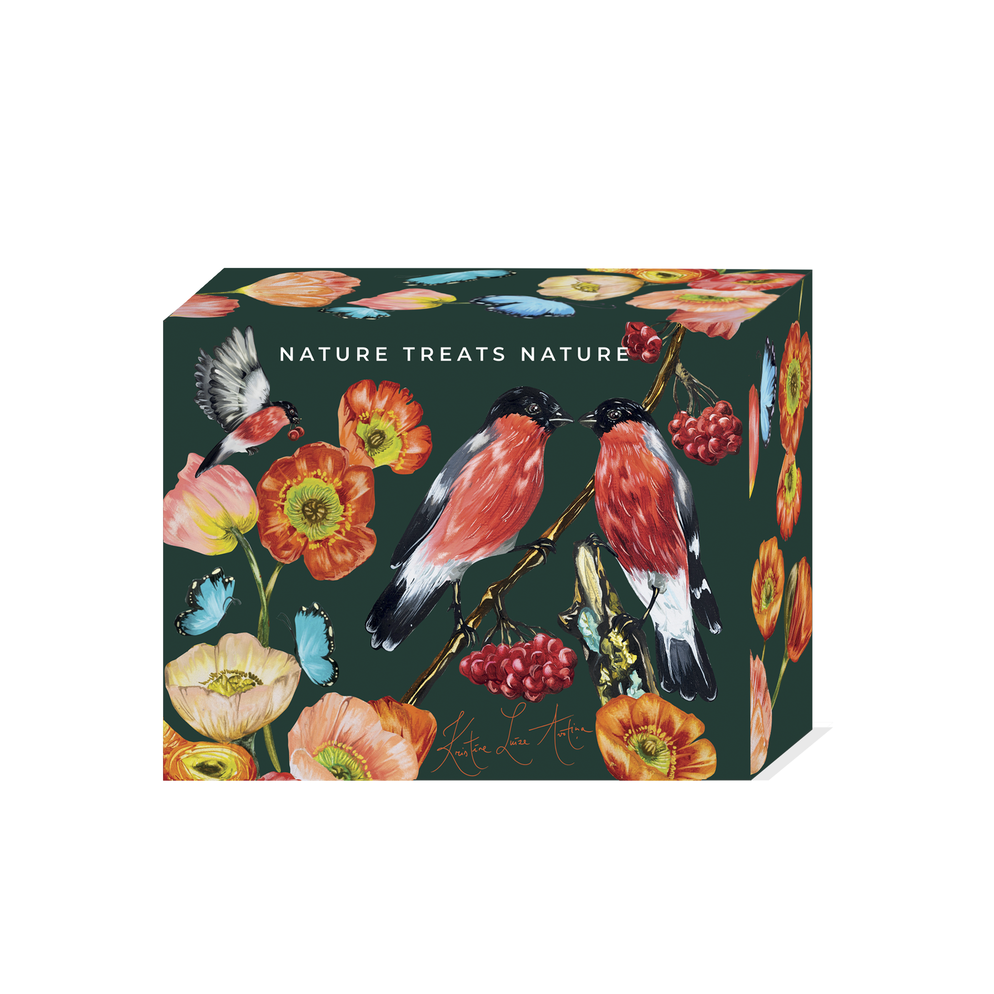 Dāvanu kastīte Dizaina Tumši Zaļa M (152x119x69mm)